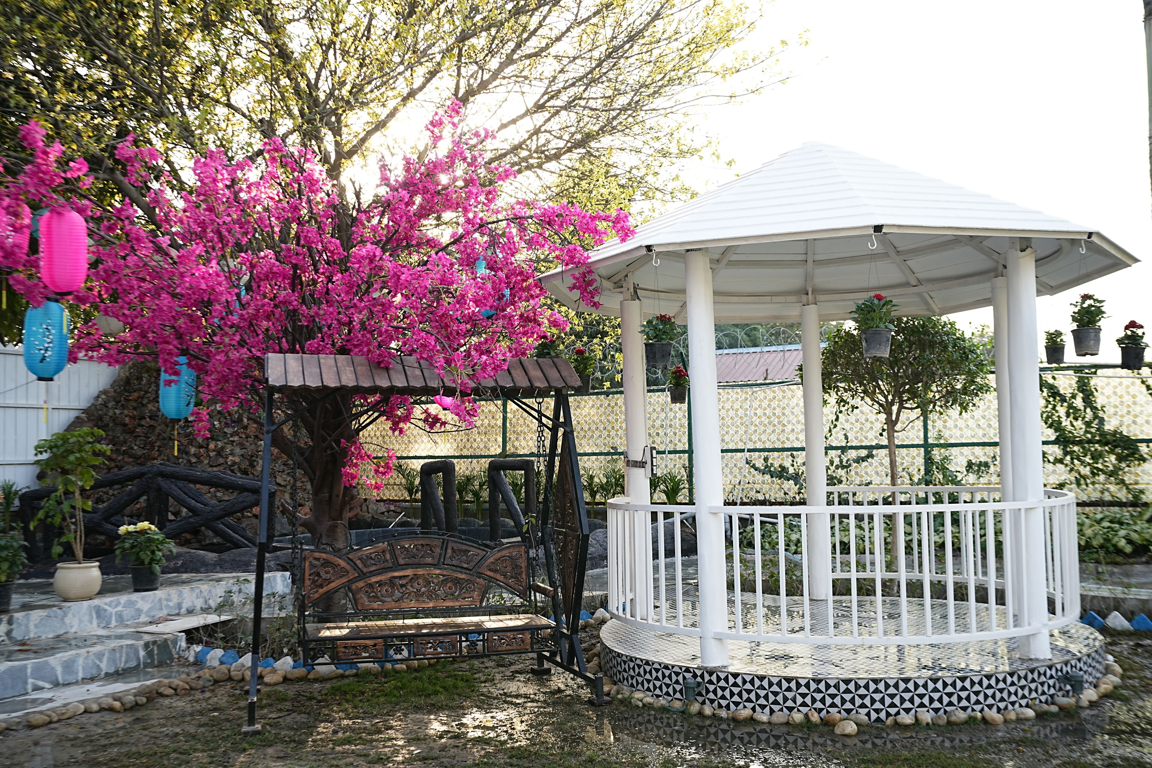 Un kiosque doté d’un toit blanc et d’un sol à motifs, entouré d’un jardin où poussent des arbres à fleurs roses et où sont disposés des plantes en pot.