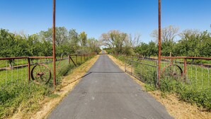 A rural road flanked by metal fences and rusted wheels, leading towards a distant tree line.