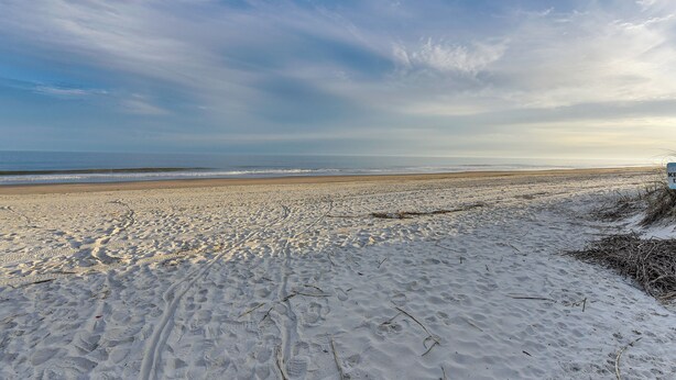Ein sandiger Strand mit Fußspuren und vereinzelter Vegetation.