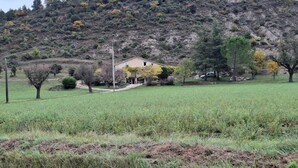 Ein ländliches Haus mit gepflasterter Auffahrt, umgeben von einem grasbewachsenen Feld und einem Hügel mit vereinzelten Bäumen.