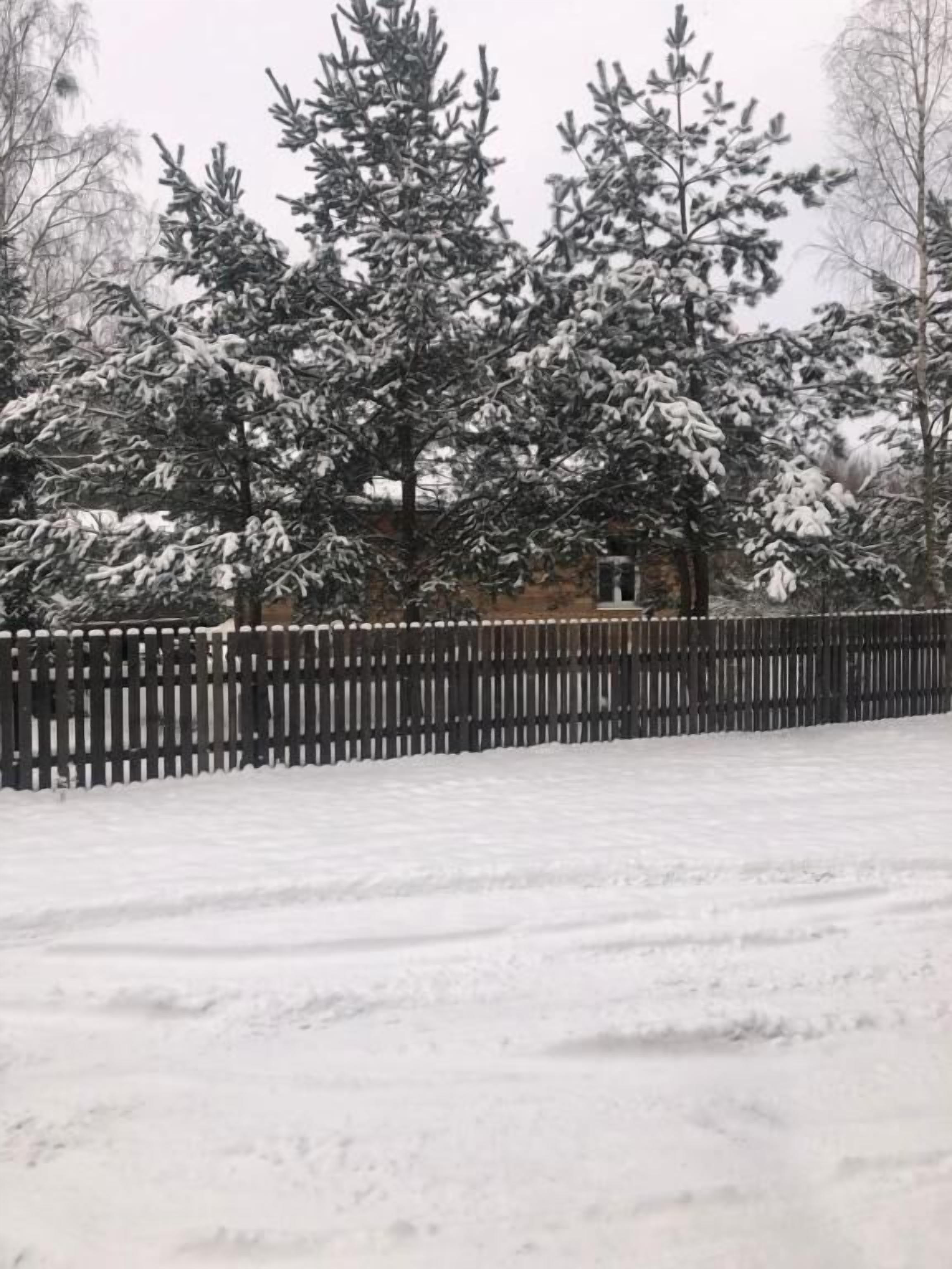 Basic House, Park View | Property grounds