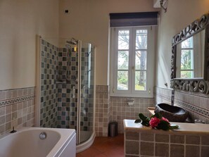 Shower, hair dryer