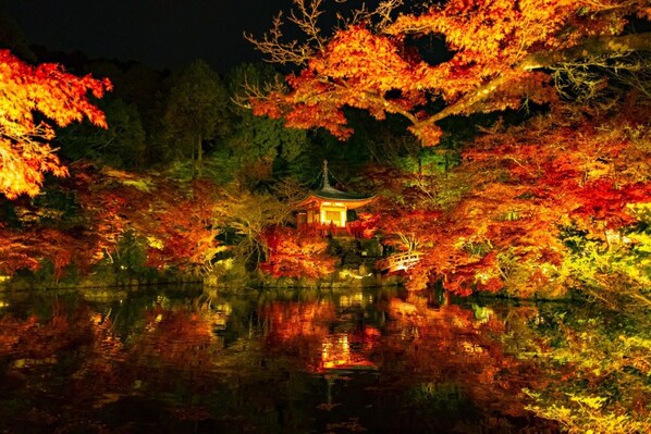A traditional Japanese pagoda surrounded by autumn foliage. - KOHAKU Apartment Hotel Kyoto (Kyoto)