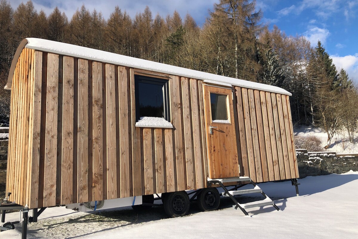 A wooden cabin with a window and a door, a ramp, and a trailer base.