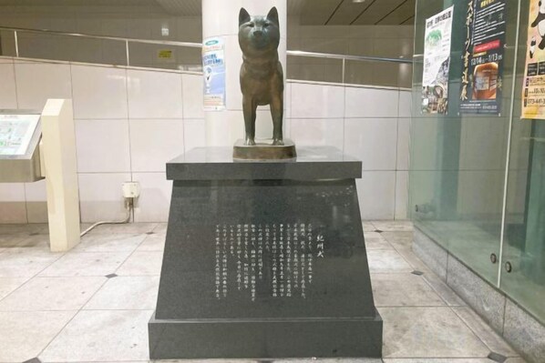 未分類圖片，第 1 張 (共 12 張)，按鈕