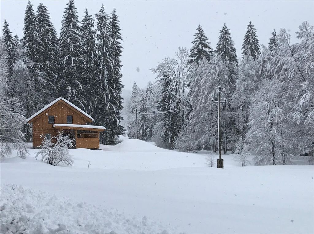 Ferienhaus Tanzer Roßleithen