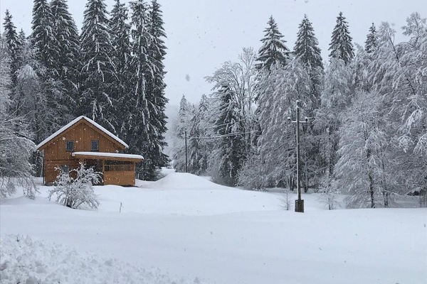 Ferienhaus Tanzer Roßleithen