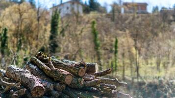 A pile of logs in a natural setting with trees and buildings in the background.
