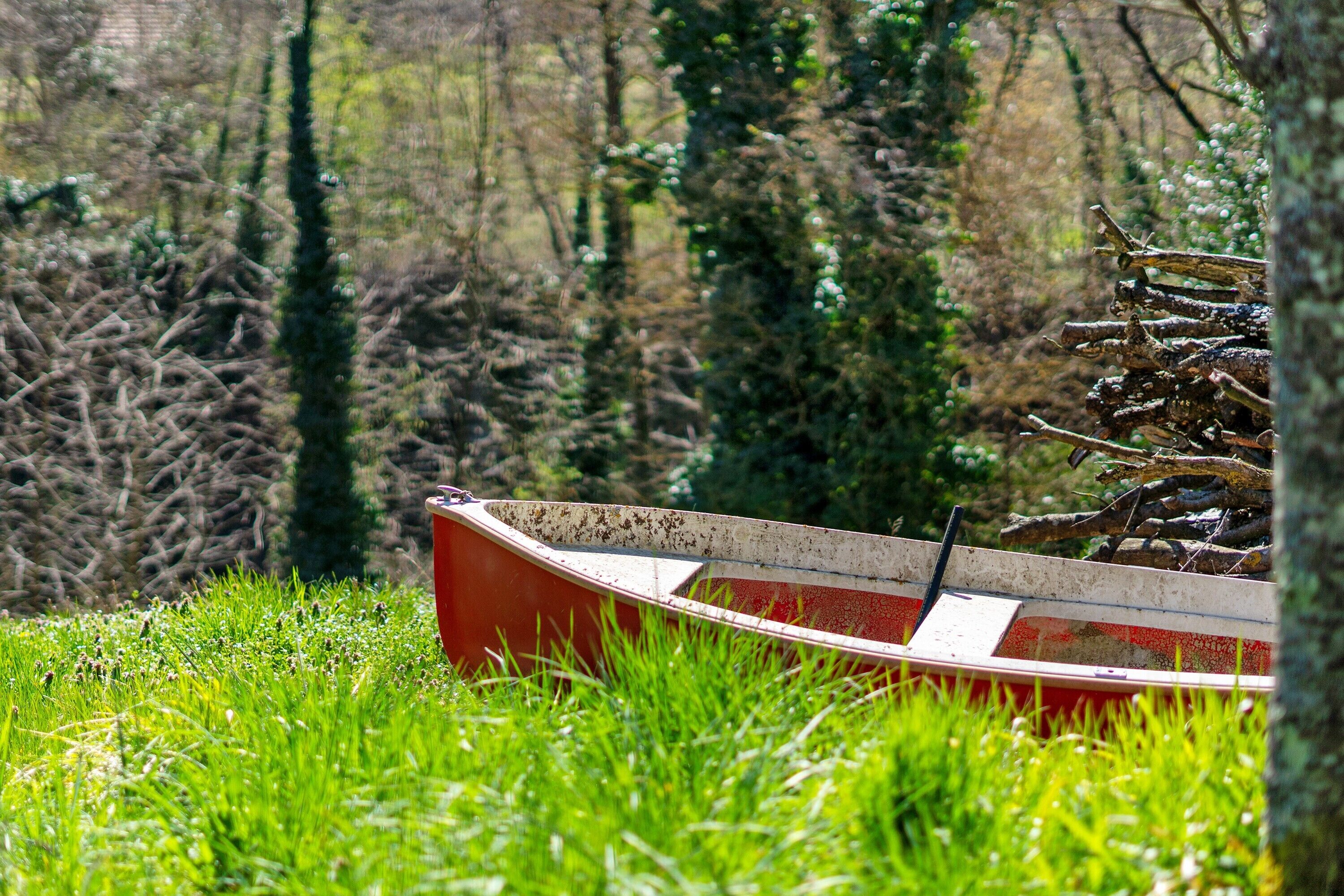 Un bateau se trouve dans une zone herbeuse, avec des arbres en arrière-plan.