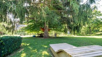 Un parco con una panchina di legno, un tavolo da picnic e un grande albero con rami pendenti.