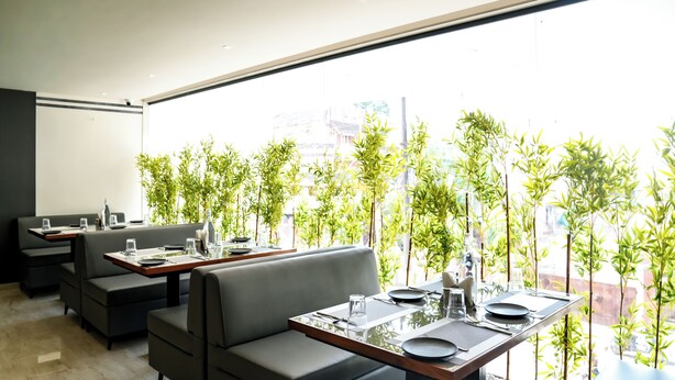 Un comedor moderno con mesas y sillas, ventanas amplias y plantas de interior.