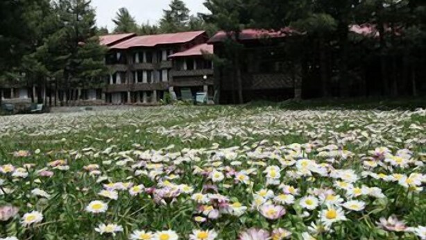 Um campo de flores em frente a um edifício com telhado vermelho.