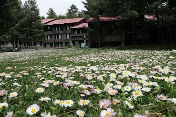 Área da propriedade