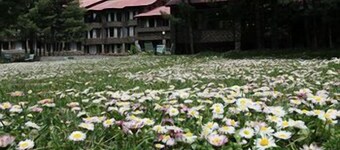Welcomhotel by ITC Hotels, Pine N Peak, Pahalgam