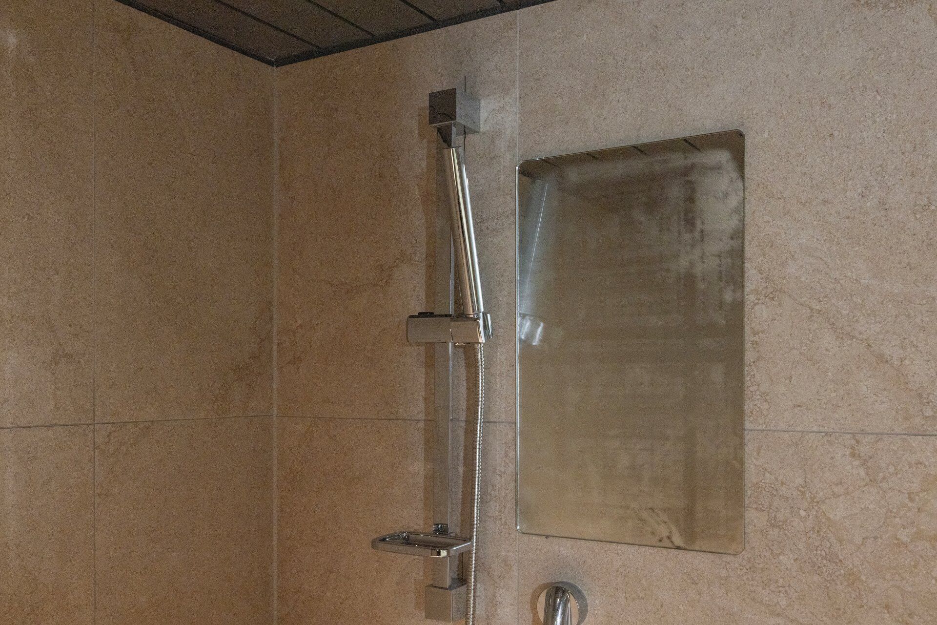 A shower with a chrome fixture and a wall-mounted mirror.