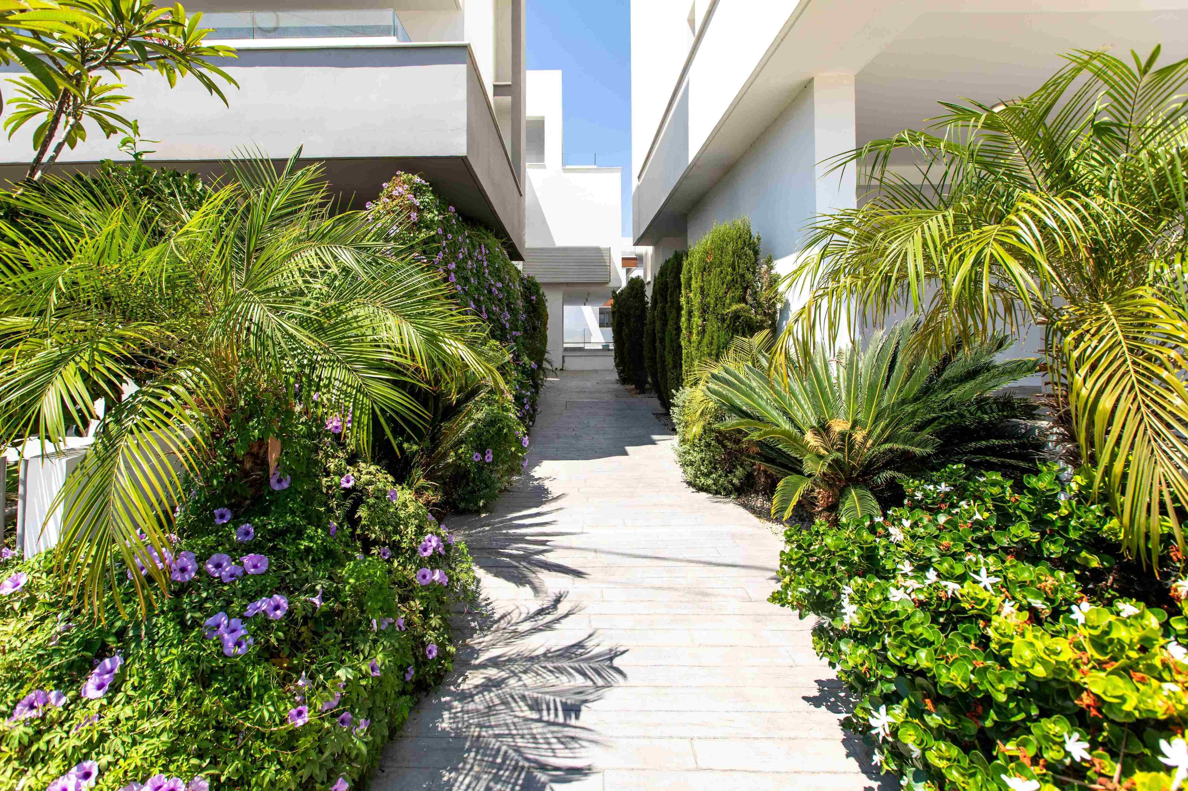 Uma trilha ladeada por vegetação exuberante e plantas floridas, conduzindo a um edifício moderno com telhado plano e grandes janelas.