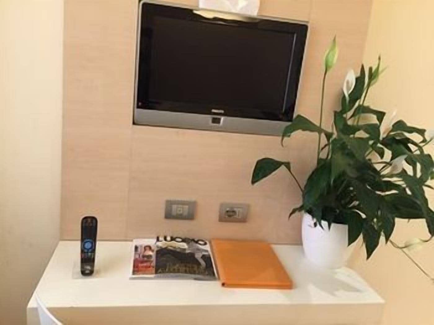 A flat-screen TV mounted on a wall, a remote control, a magazine, a plant, and a small table with a power outlet.