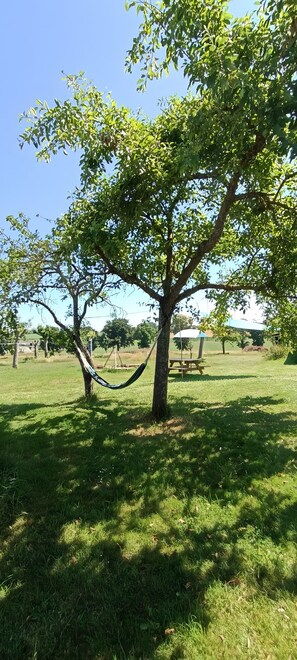 Property grounds - Cottage der Apfelwiese (Savigny-le-Vieux)