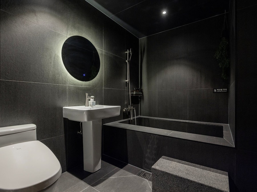 Hair dryer, bathrobes, bidet, towels