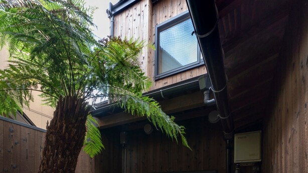 Un bâtiment en bois avec un petit espace jardin, comprenant un arbre, des plantes et un bassin en pierre.
