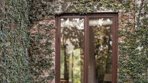 A brick wall with ivy, a wooden chair, a table with a drink, and a window. - Amã Stays & Trails Asanji Wadi (Alibag)