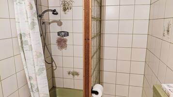 Un baño con ducha, papel higiénico y azulejos decorativos.