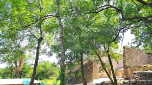 Un espace extérieur rustique avec des murs en pierre, une table et des chaises, ainsi que des arbres.