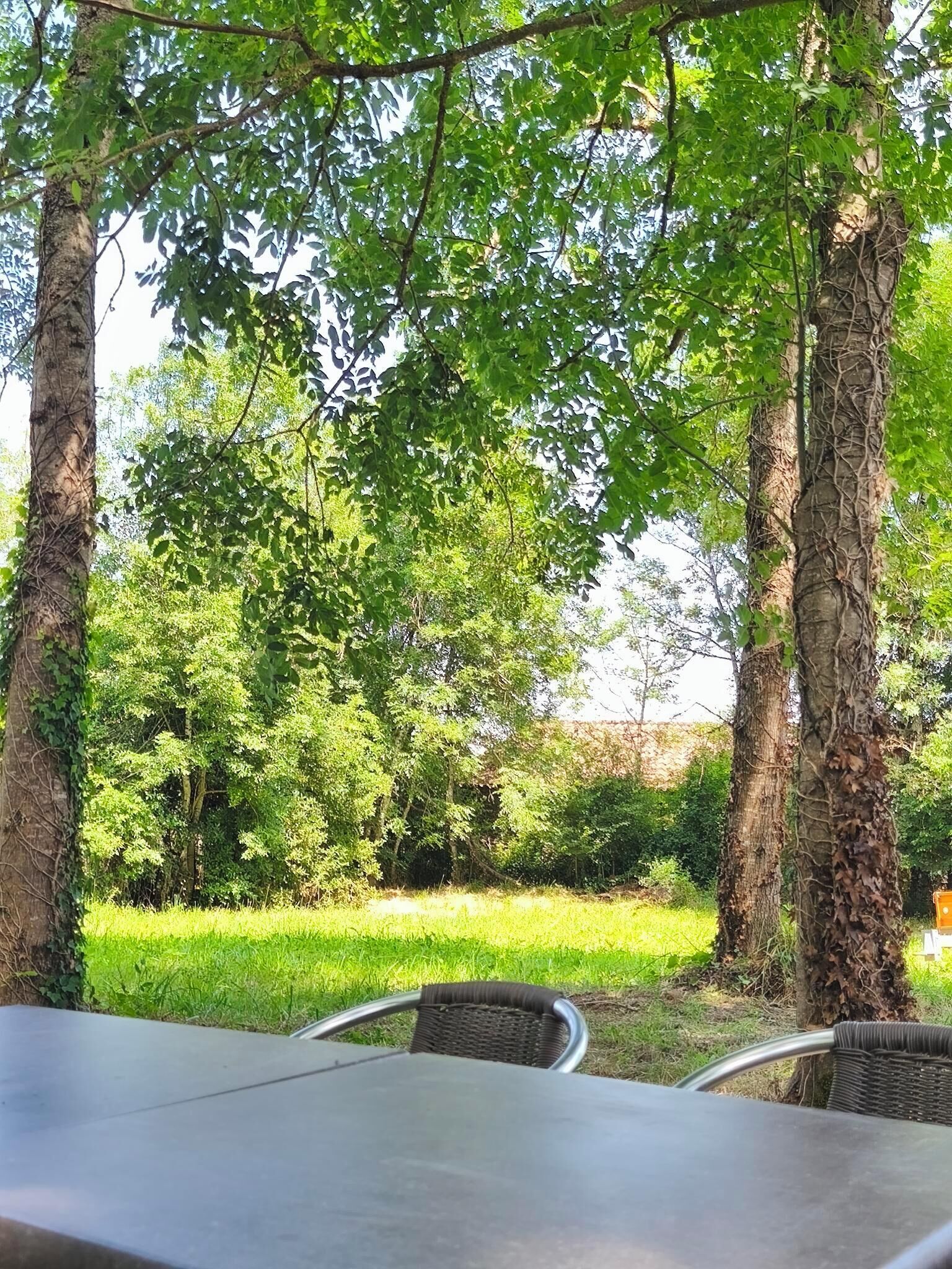 An outdoor dining area with a table and chairs, surrounded by trees and greenery.