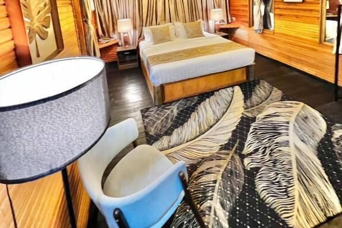A room with a bed, a ceiling fan, a lamp, a chair, and a patterned rug.