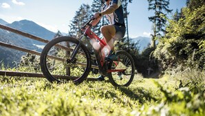 A mountain biker on a trail with a forest and mountains in the background. - Chalet Aris (Sankt Leonhard in Passeier)