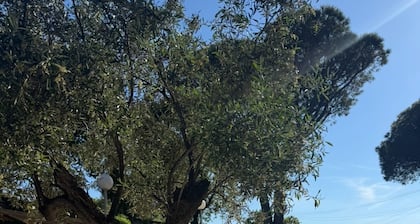 SAINTE MAXIME - Mazet with swimming pool, Close to town center and beaches