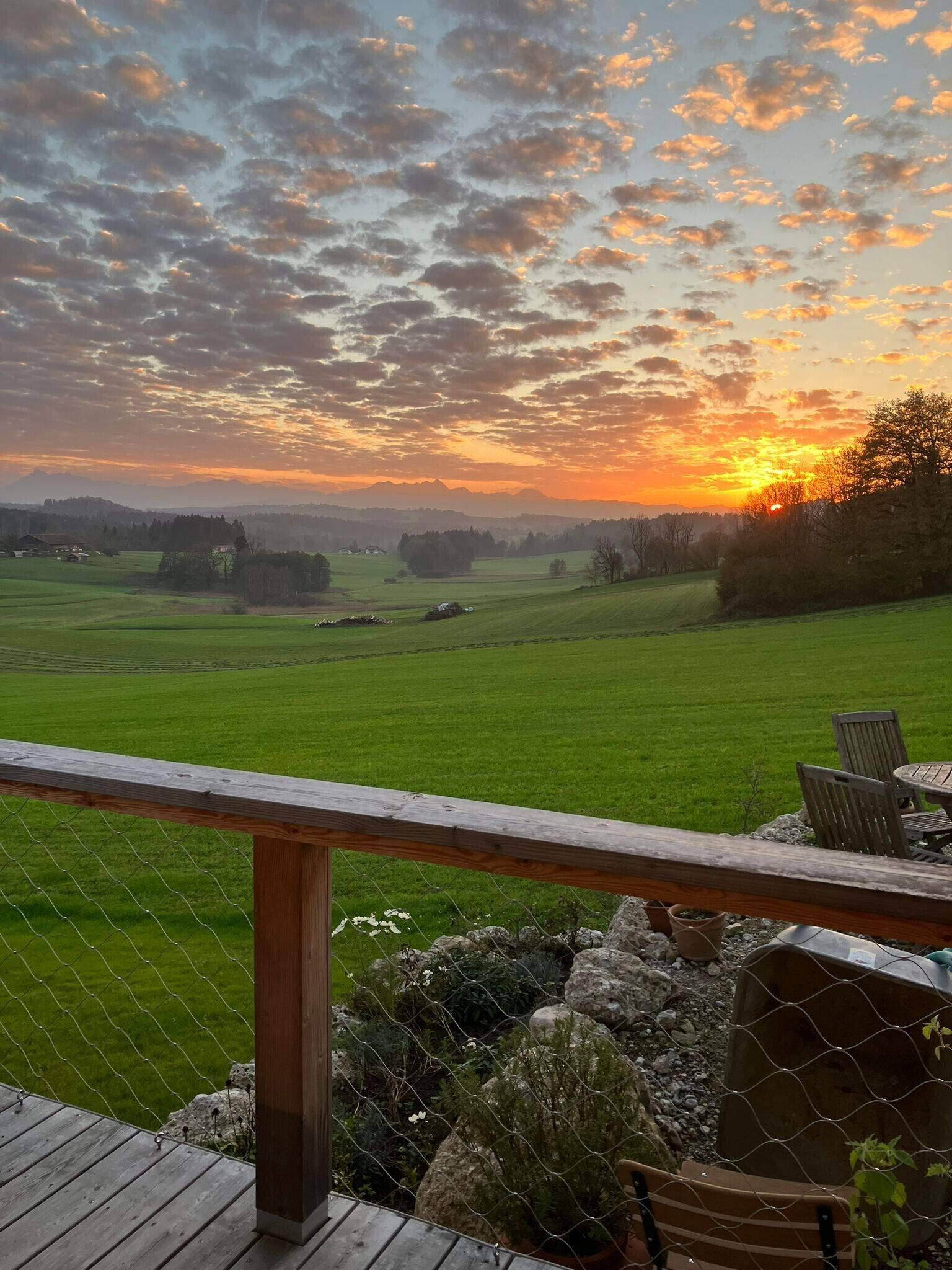 Área da propriedade