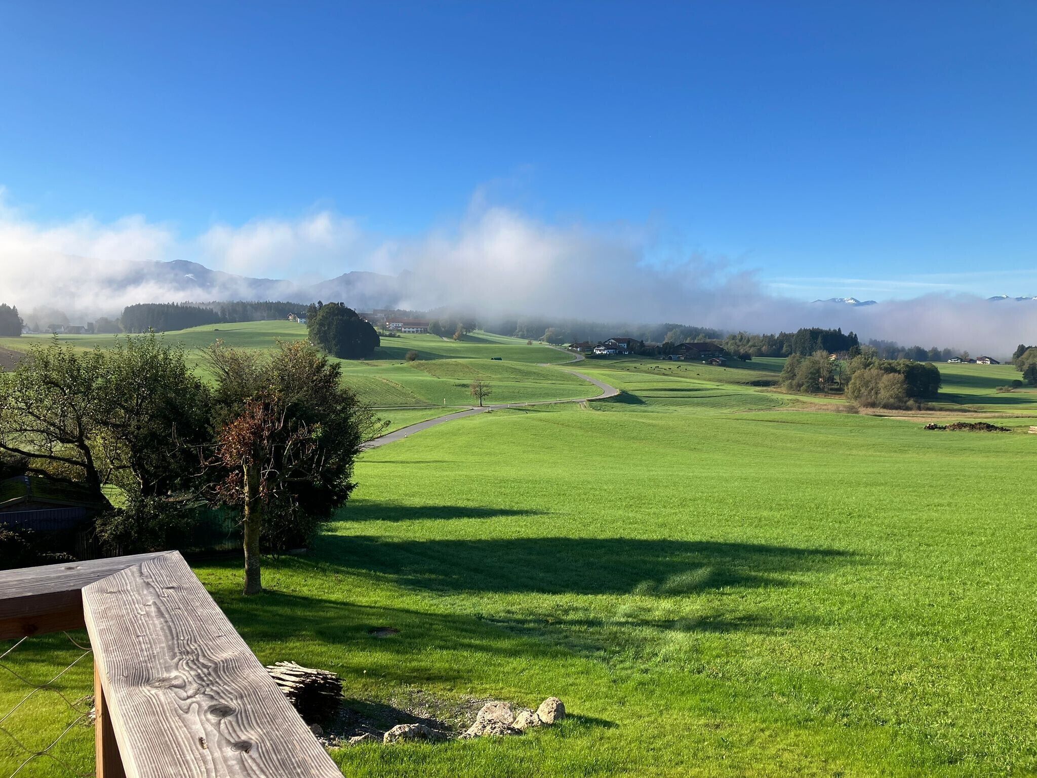 Área da propriedade