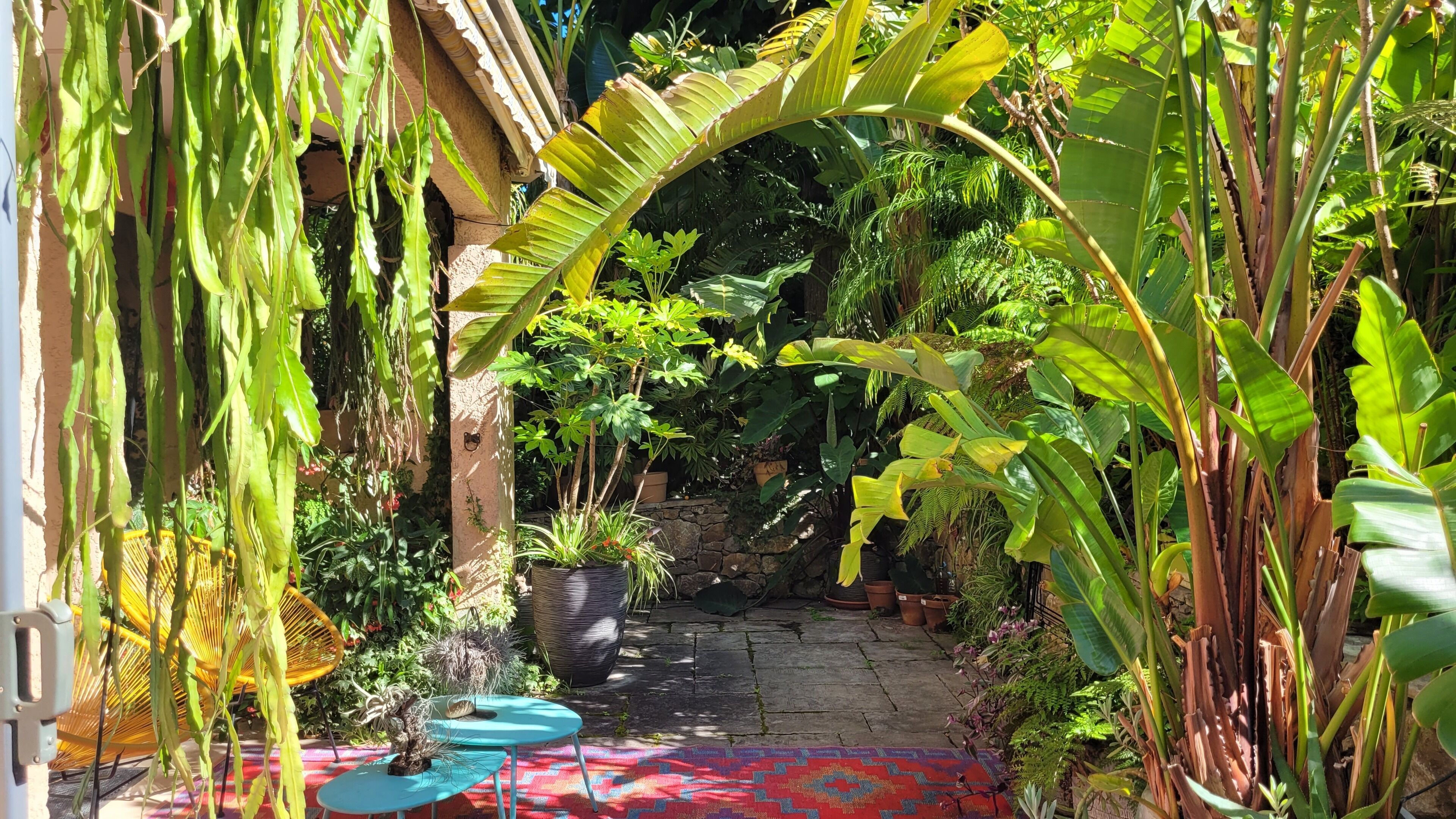 Terraza o patio