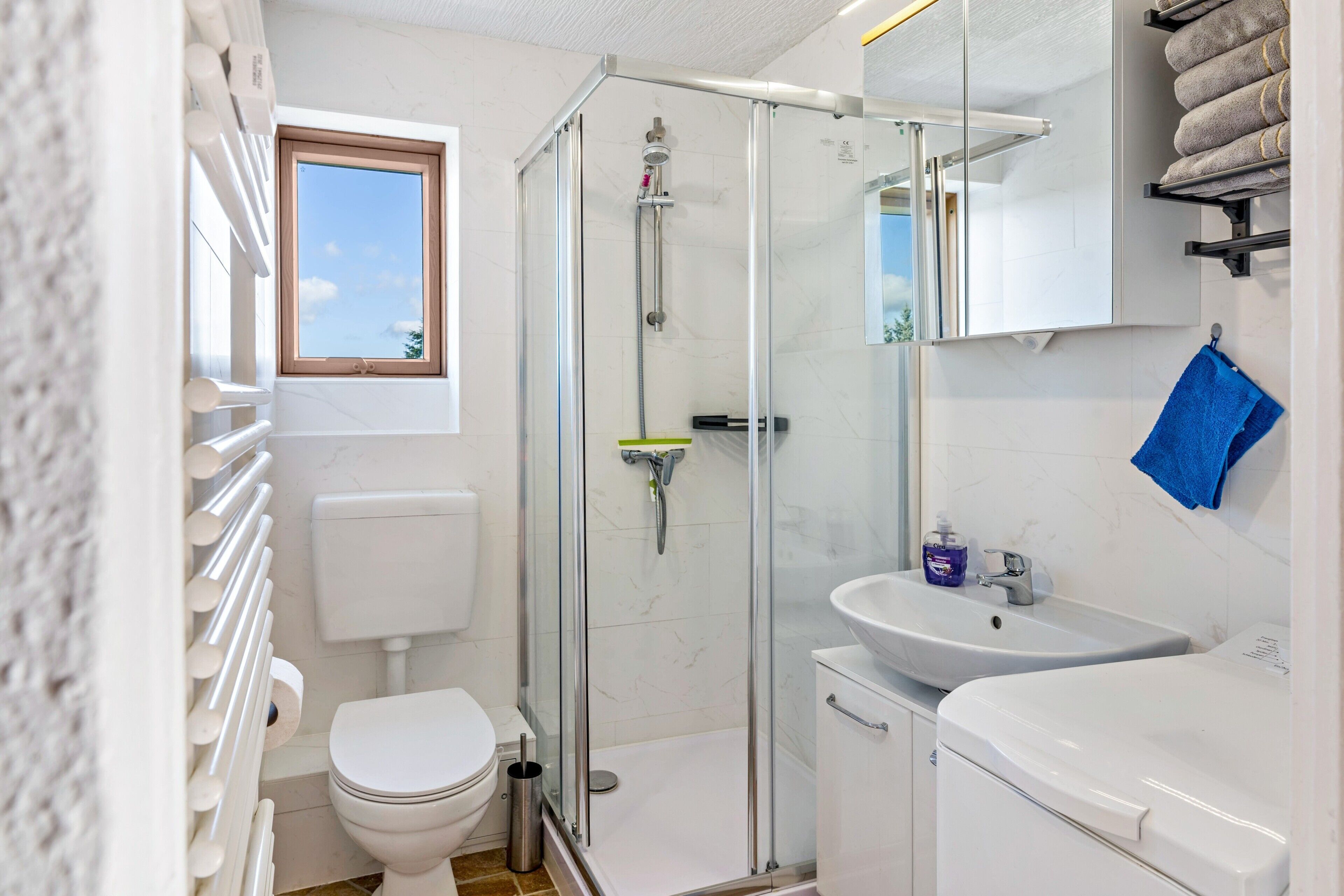 Shower, hair dryer, towels