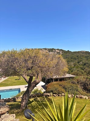 Une piscine, un belvédère, un arbre et un paysage montagneux.