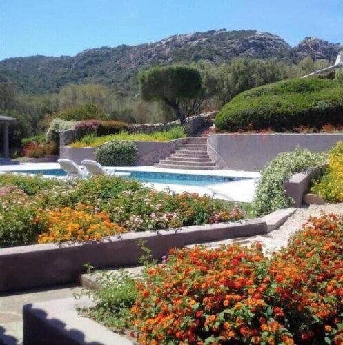 Spartacus Eco Retreat | Olive Tree Suite