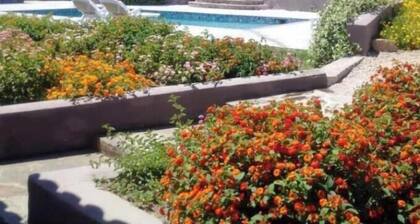 Spartacus Eco Retreat | Olive Tree Suite