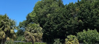 Magnificent Norman manor house - Swimming pool - Tennis court