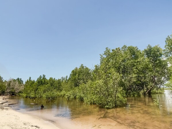 A riverbank with trees and clear water. - OYO Homes 91148 Homesstay Desa Wisata Bahoi Near Ekowisata Mangrove Desa Bahoi (Bahoi)