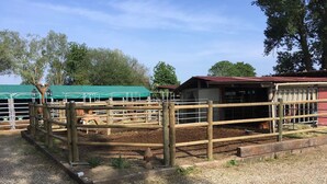 A stable with horses, a fenced area, and a building with a red roof. - Nature Dome & Jacuzzi at Blue Grass Ranch (Bischoffsheim)