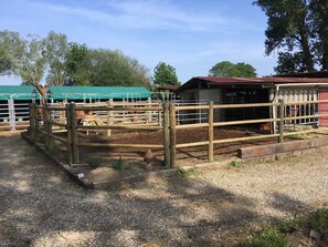 Áreas de la propiedad