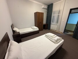 Basic Double or Twin Room