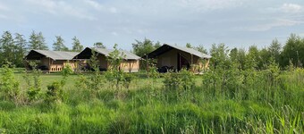 Luxury Glamping Near the Frisian Waters