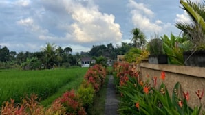 A pathway through a garden with a variety of plants and a house in the background. - Niluh Private Villas (Ubud)