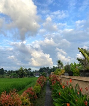 Área da propriedade