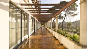Un corredor cubierto con piso de baldosas, ventanas amplias y macetas con plantas a lo largo de un lado.