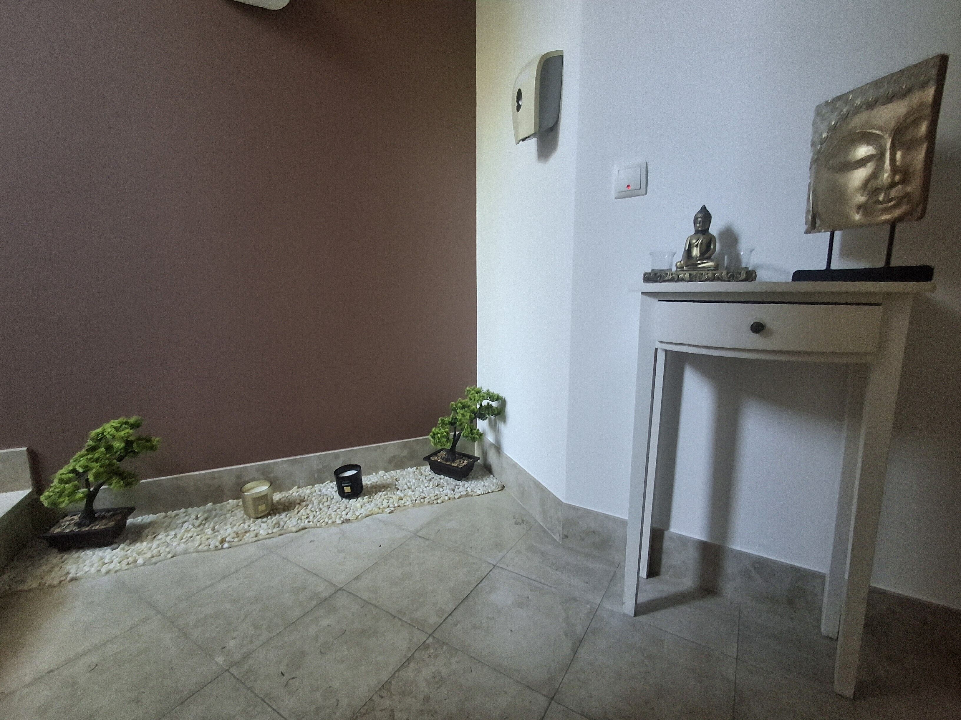 A room with a white console table, a Buddha statue, two potted plants, a small white bowl, and a wall-mounted light switch.