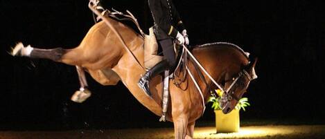 A person riding a horse in a dark setting.