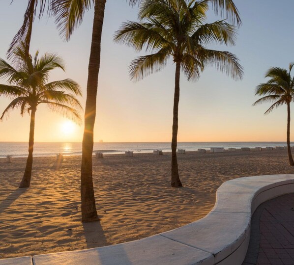 A beach with palm trees and a sunset.
